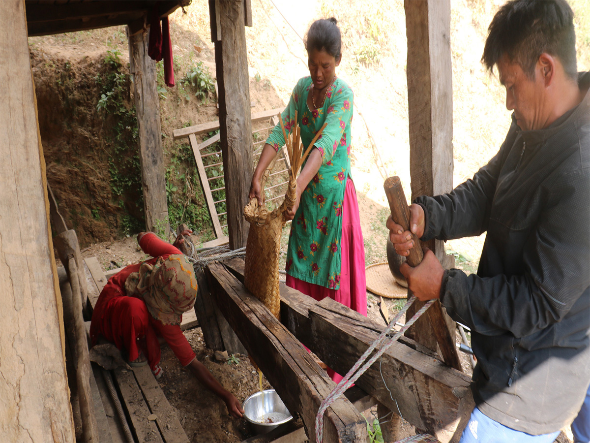 चिउरीबाट घ्यू उत्पादन गर्दै चेपाङ